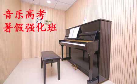 广州音阅佳音乐高考暑假强化班