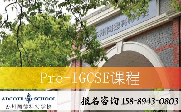 Pre-IGCSE课程