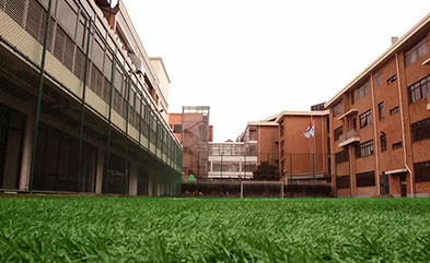 上海常青藤国际学校2023年秋季招生计划