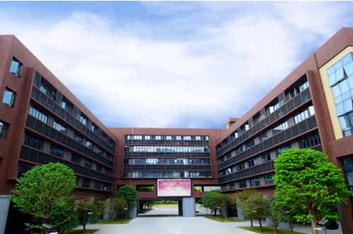 开设DSE课程的深圳国际高中有哪些