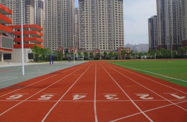 2020年广东省普通高考体育类总分分数段统计表